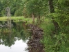 First beaver dam